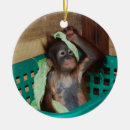 Suche nach inländisch ornamente Tier