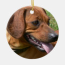 Suche nach würstchen ornamente Hund