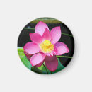 Recherche de méditation magnets Rose