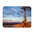 Recherche de accrocher magnets Nature