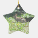 Suche nach wild ornamente Tier