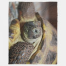 Suche nach schildkröten decken Muschel