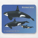 Suche nach killerwal mousepads Delphin