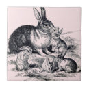 Recherche de lapin vintage carreaux Rose