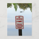 Recherche de marécage cartes postales Floride