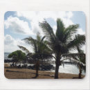 Suche nach palmen strand mousepads Bäume