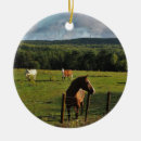 Suche nach zaun ornamente Tier
