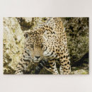 Suche nach leoparden puzzle Natur