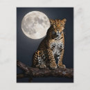 Recherche de pleins cartes postales Faune