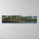 Recherche de cyprès posters Paysages