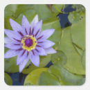 Recherche de tropiques autocollants Botanique