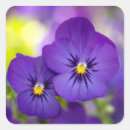 Recherche de pansement autocollants Jardin