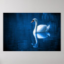 Suche nach floating poster Vogelvogel
