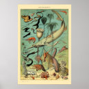 Suche nach wasserleben poster Ozean