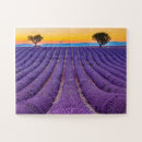 Recherche de provence puzzles France