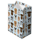 Recherche de carlin mignon Chien