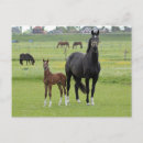 Suche nach niedlich tier fotos postkarten Natur