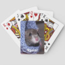 Recherche de rat mignon Rongeur