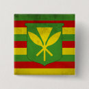 Recherche de drapeau hawaii badges Honolulu