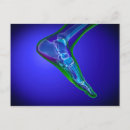 Suche nach menschliche knochen postkarten Transparent