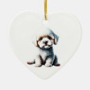 Suche nach bichon frise ornamente Welpe