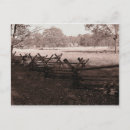 Recherche de bataille de gettysburg cartes postales Confédéré