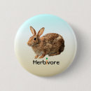 Recherche de herbivore badges Lapin