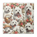 Recherche de westie carreaux Chiot