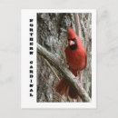 Recherche de cardinal cartes postales Alimentation