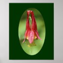 Suche nach wilde blumen poster Mother