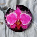 Suche nach rosa orchideen buttons Blüte