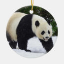 Suche nach vom zoo ornamente Winter