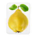 Recherche de fruit magnete Jaune