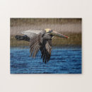 Recherche de pelican puzzles Nature
