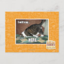 Recherche de sieste cartes postales Je peux avoir cheezburger