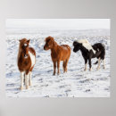 Suche nach isländisch poster Bauernhof