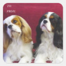 Recherche de cavalier autocollants Chien