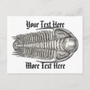 Suche nach fossilien postkarten Antike