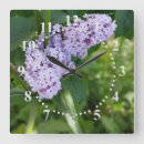 Recherche de lilas horloges Vert