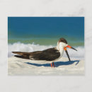 Suche nach strandpostkarte Natur
