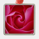 Suche nach rote rosen ornamente Verzierung