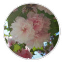 Recherche de cerise boutons et poignées de porte Printemps