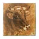 Recherche de vaches carreaux Cru