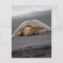 Suche nach black sand beach poster Strand