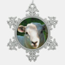 Suche nach niedliche schafe ornamente Lamm