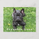 Recherche de french bulldog cartes postales Amoureux des chiens