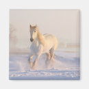 Suche nach westen magnete Bauernhof