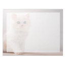 Suche nach blaue augen notizblock Katze