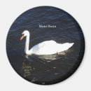 Suche nach mute magnete Natur