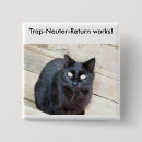Recherche de neutres de badges Chats